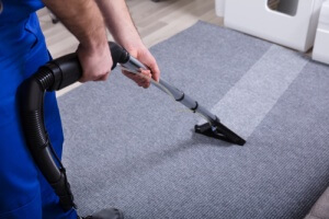 Professional carpet cleaning removing stains and smells from carpet