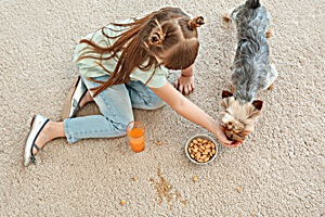 pet stain removal experts for healthy homes