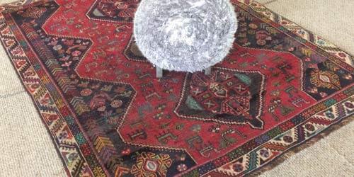safedry technician cleaning oriental rug