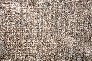 a carpet with a large buildup of mold