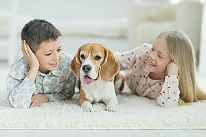 two siblings on the carpet with their dog after the carpet received antibacterial sanitizer treatment