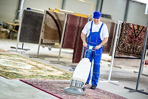 Professional carpet cleaner cleaning rugs 