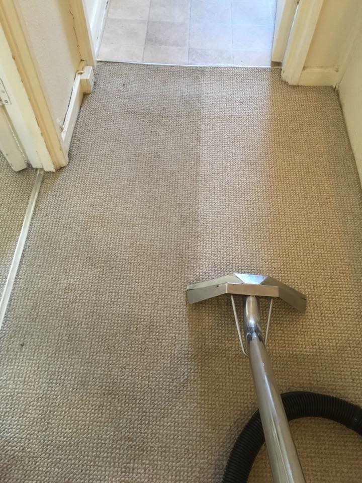 Best Professional Carpet Cleaner