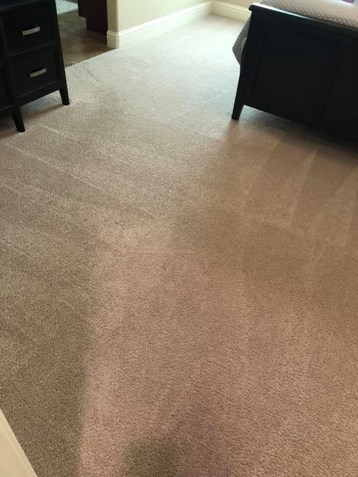 Best Carpet Cleaning Company Near Me